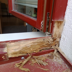 Fenster Ansicht vorher mit kaputtem Holz